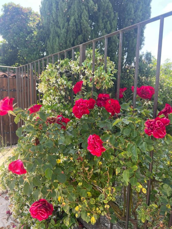 Holiday home L'isle-de-coeur - Private Pool L'Isle-sur-la-Sorgue