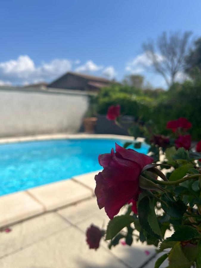 L'isle-de-coeur - Private Pool L'Isle-sur-la-Sorgue